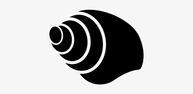 820x401 Seashell Conch Vector