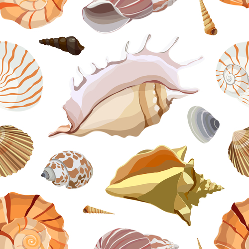 500x500 Shells And Conch Seamless Pattern Vector Free Download