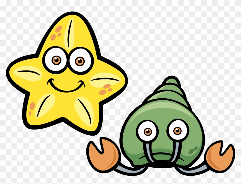 840x642 Vector Starfish Conch Material