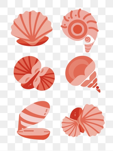 360x481 Conch Vector Png, Vector, And Clipart With Transparent