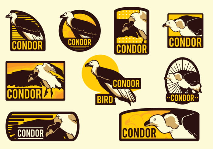 700x490 Condor Silhouettes Vector Free Graphics Uihere