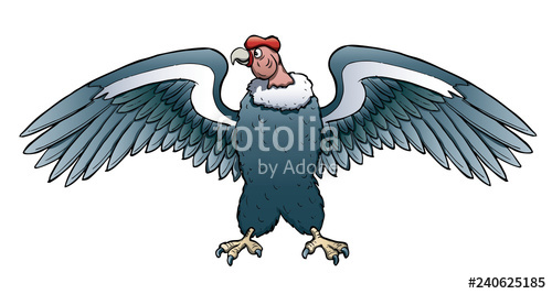 500x267 Condor Bird Stock Image And Royalty Free Vector On Fotolia