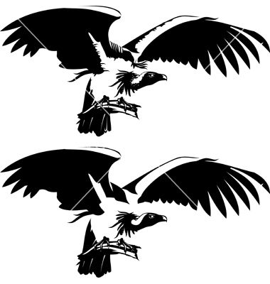 380x400 Condor On Vectorstock Eddie Inca Tattoo, Birds Of Prey, Birds