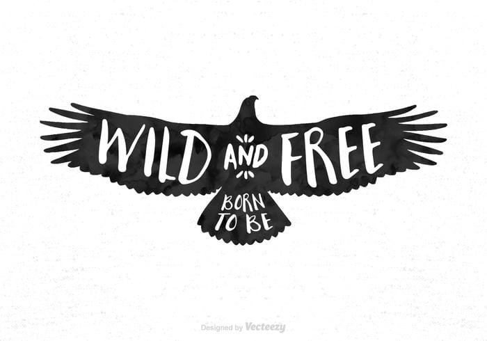 700x490 Free Retro Condor Silhouette Vector Free Graphics