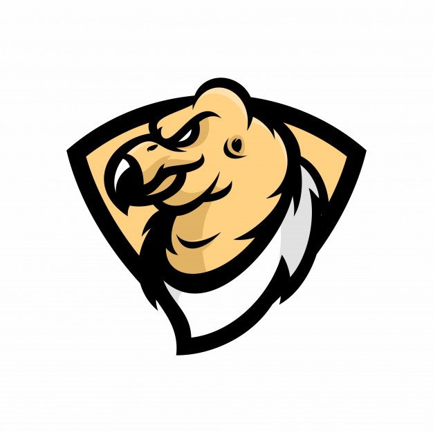 626x626 Wild Condor Vectors, Photos And Free Download