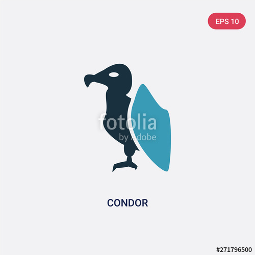 500x500 Two Color Condor Vector Icon From Animals Concept Isolated Blue