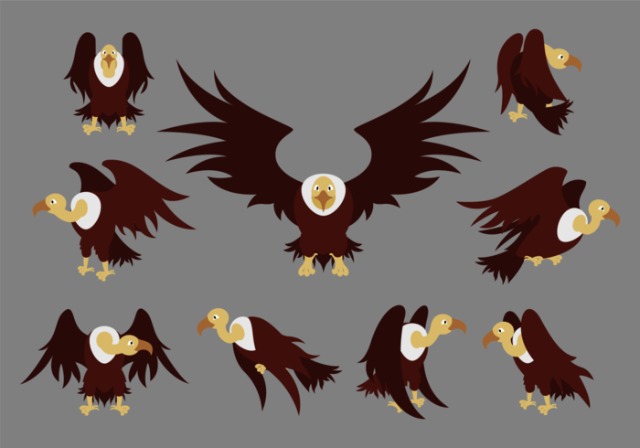 700x490 Condor Cartoon Vectors