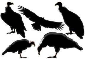 286x200 Condor Free Vector Art