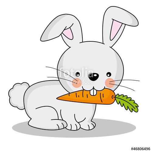 500x500 Conejo Comiendo Una Zanahoria Stock Image And Royalty Free Vector