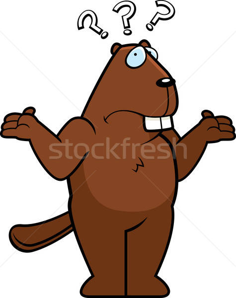 475x600 Beaver Confused Vector Illustration Cory Thoman