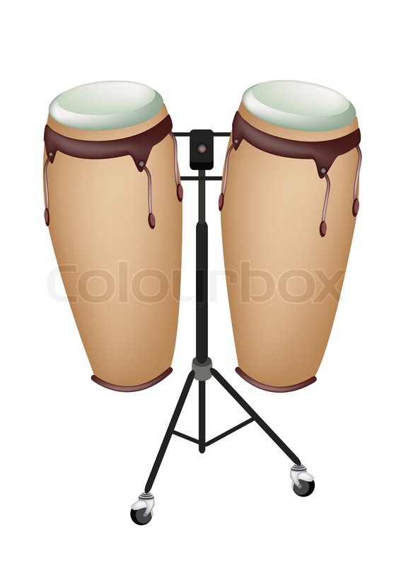 567x800 Beautiful Musical Instrument Of Congas Stock Vector Colourbox