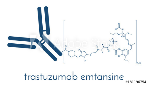 500x288 Trastuzumab Emtansine Antibody Drug Conjugate Molecule Each