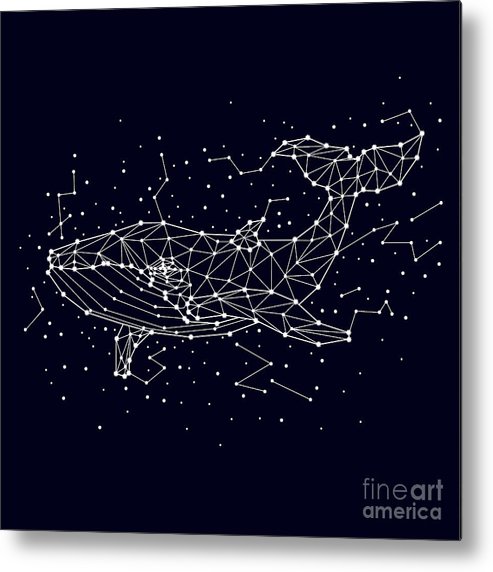 493x572 Whale, Constellation Vector Graphics Metal Print