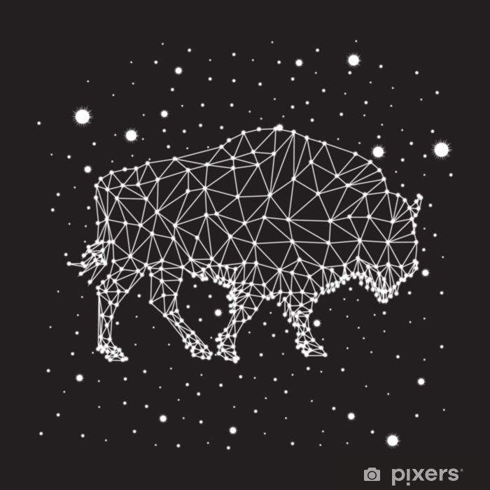 700x700 Bison Constellation Vector Art Table Desk Veneer We