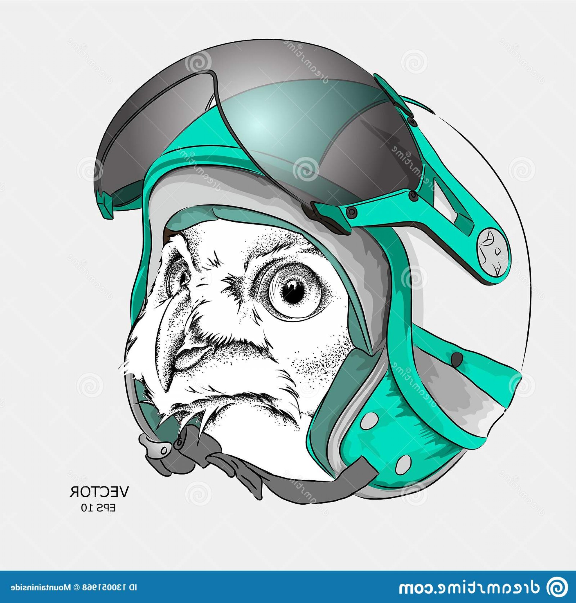 1920x2010 Image Portrait Owl Cool Bright Motorcycle Helmet Vector