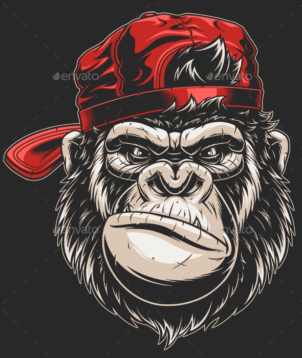 590x700 Monkey's Head In A Baseball Cap