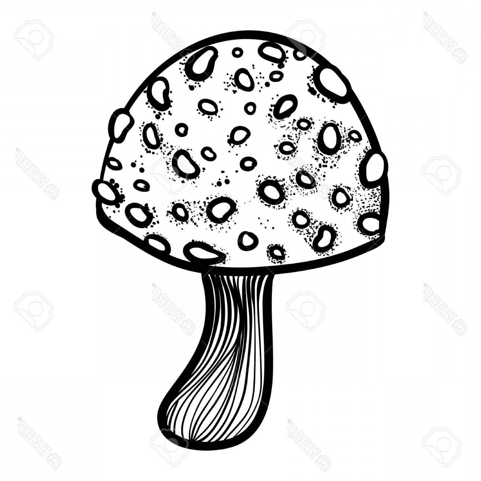 1560x1560 Photostock Vector Cool Art With Mushroom Vector Illustration