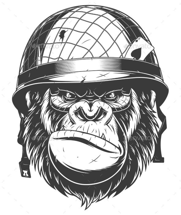 590x700 Gorilla In Military Helmet Vector Graphics Install Any Size