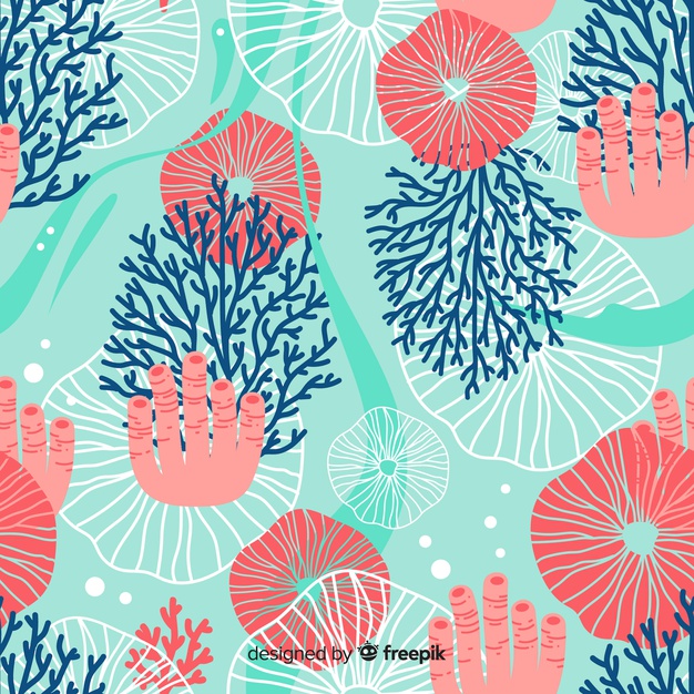 Flat Coral Pattern Vector Free Download 626x626 Flat Coral Pattern Vector Free Download