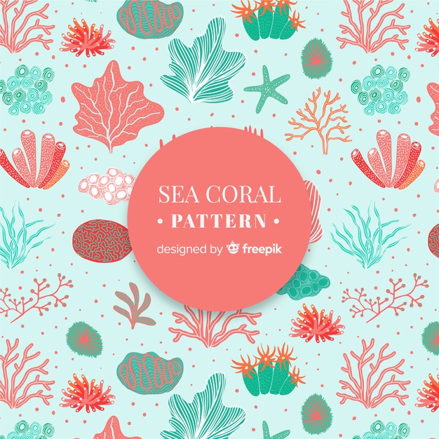 Hand Drawn Coral Pattern Vector Free Download 626x626 Hand Drawn Coral Pattern Vector Free Download