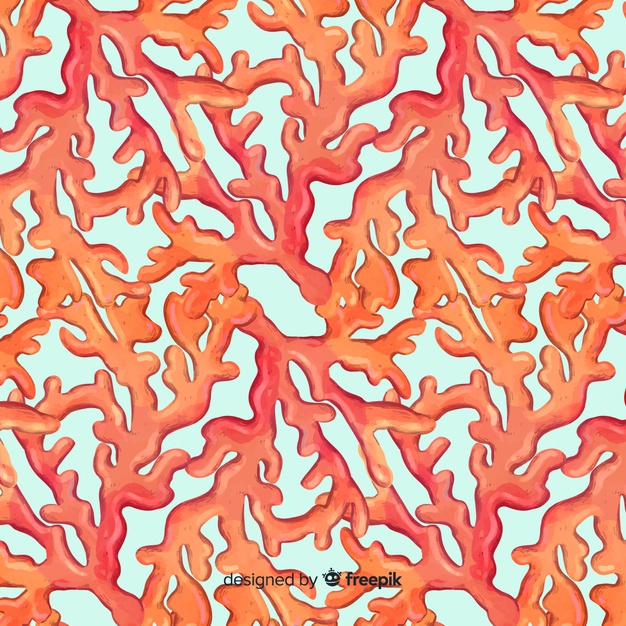 Watercolor Coral Pattern Vector Free Download 626x626 Watercolor Coral Pattern Vector Free Download