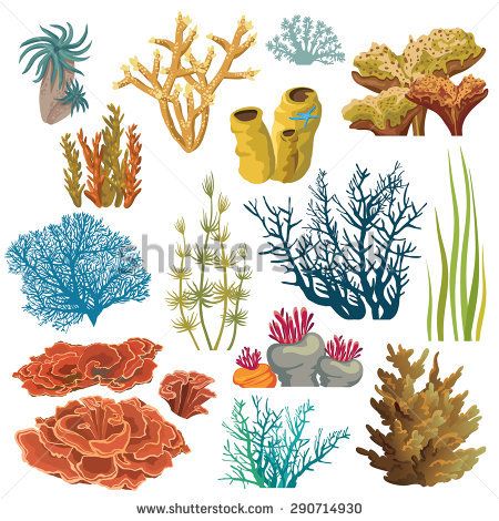 450x470 Cliparts For Free Download Algae Clipart Coral Reef Vector