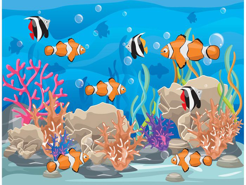 800x600 Coral Reef With Fish Free Vector
