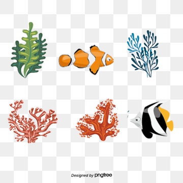 360x360 Coral Reefs Png, Vector, And Clipart With Transparent