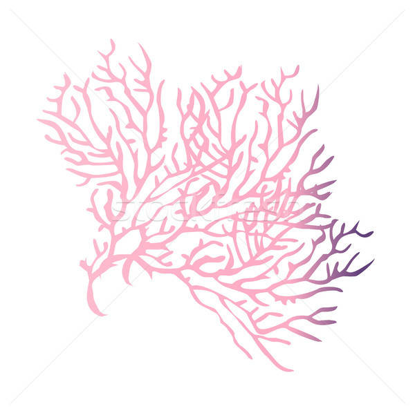 600x598 Coral Reef Vector Illustration Sungjoong Kim