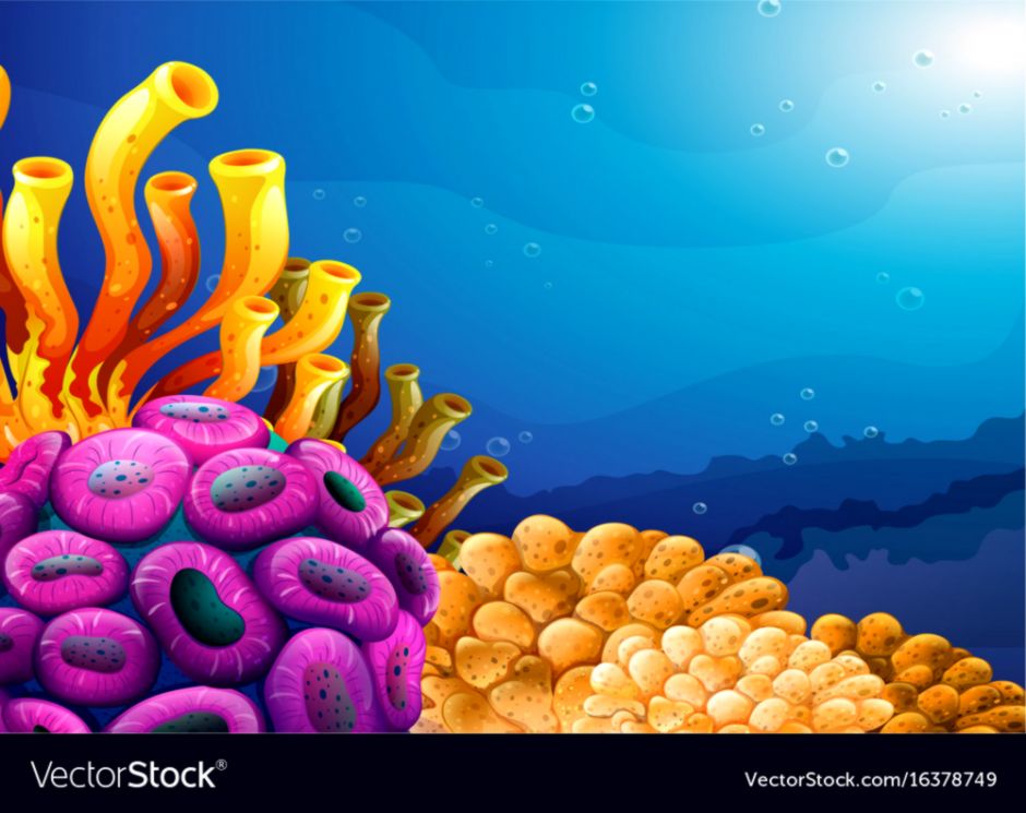 Coral Reef Vector at Vectorified.com | Collection of Coral Reef Vector ...