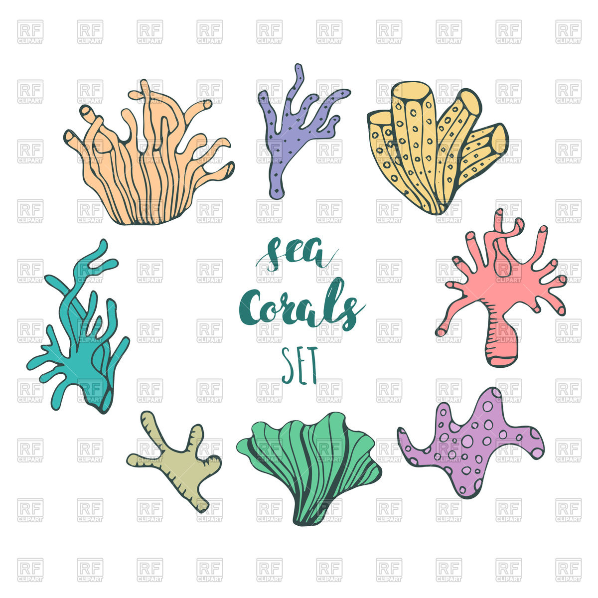 1200x1200 Set Of Colorful Underwater Coral Reef Elements On White Background