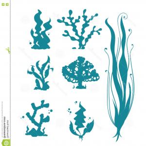 300x300 Stock Illustration Underwater Sea Corals Algae Vector Silhouettes