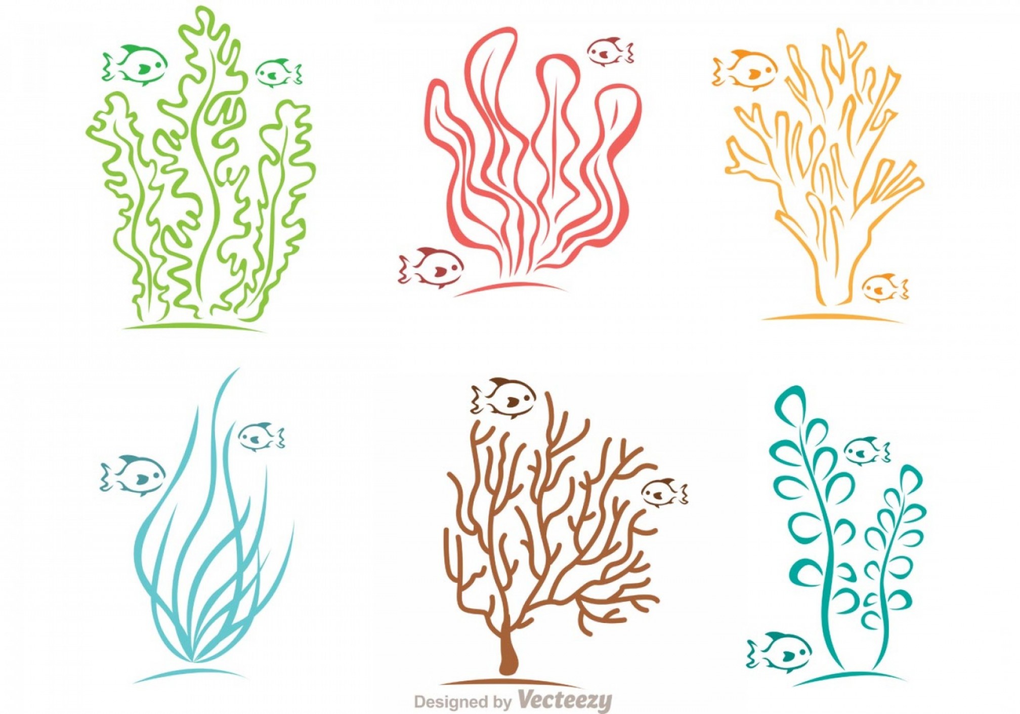 2016x1411 Colorful Coral Reef And Fish Vector Catchsplace