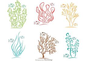 286x200 Coral Free Vector Art