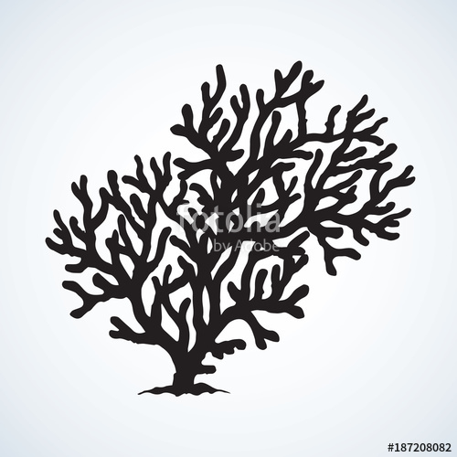 500x500 Coral Vector Drawing Stock Image And Royalty Free Vector