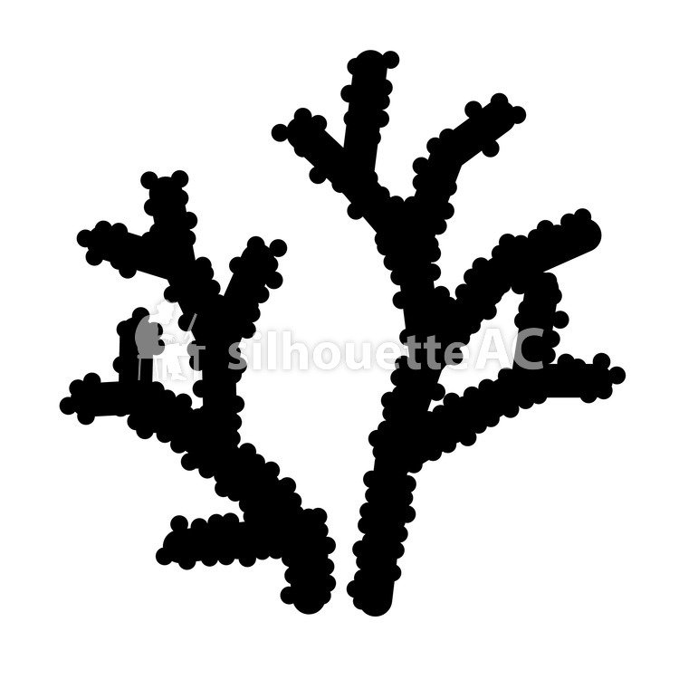 750x750 Free Silhouette Vector An Illustration Coral
