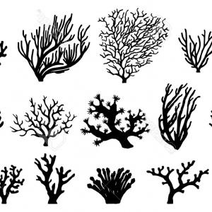 300x300 Photostock Vector Coral Silhouettes On The White Background Soidergi