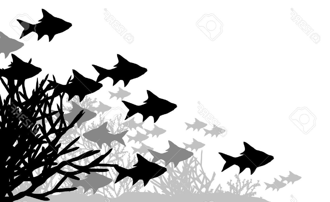 1300x794 Collection Of 'reef Silhouette' Download More Than Images