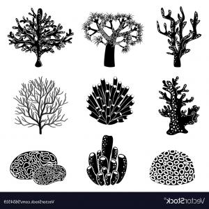 300x300 Photostock Vector Coral Silhouettes On The White Background