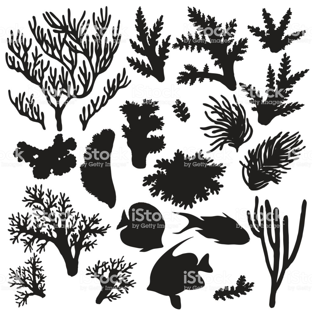 1024x1024 Reef Fish Silhouette