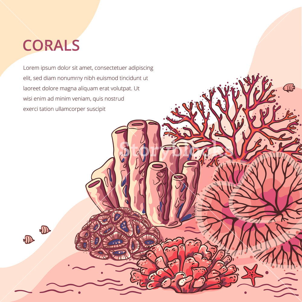 1000x1000 Sea Plants And Aquarium Coral Vector Set Nature Coral Silhouette