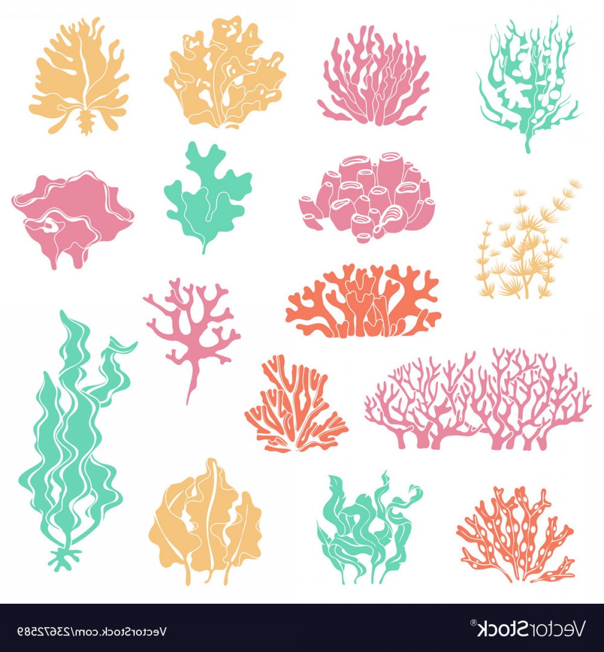 1200x1296 Seaweed And Coral Silhouettes Ocean Reef Corals Vector Cqrecords