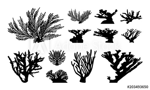 500x300 Set Of Abstract Coral Silhouette Vector Illustration
