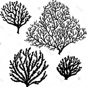 300x300 Stock Illustration Sea Corals Silhouette Vector Isolated Black