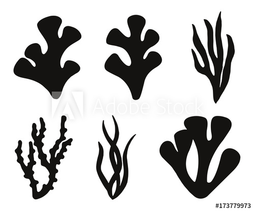 500x417 Algae And Coral Silhouettes Isolated Vector Icons