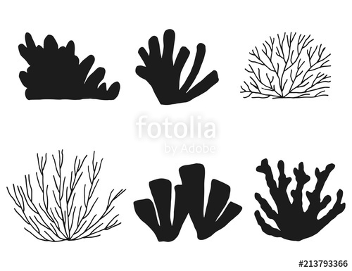 500x385 Silhouette Of Seaweed And Coral Set Isolated On White Background