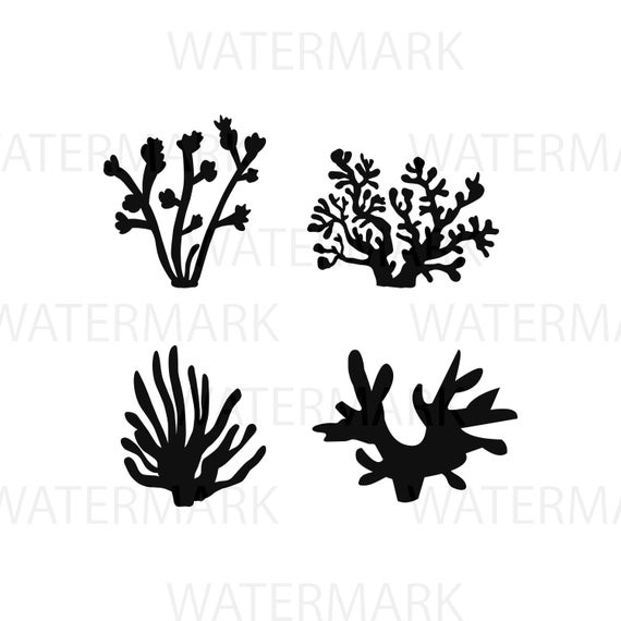 570x570 Coral Reef Undersea Ocean Plant Ecosystem Silhouette Hand Etsy