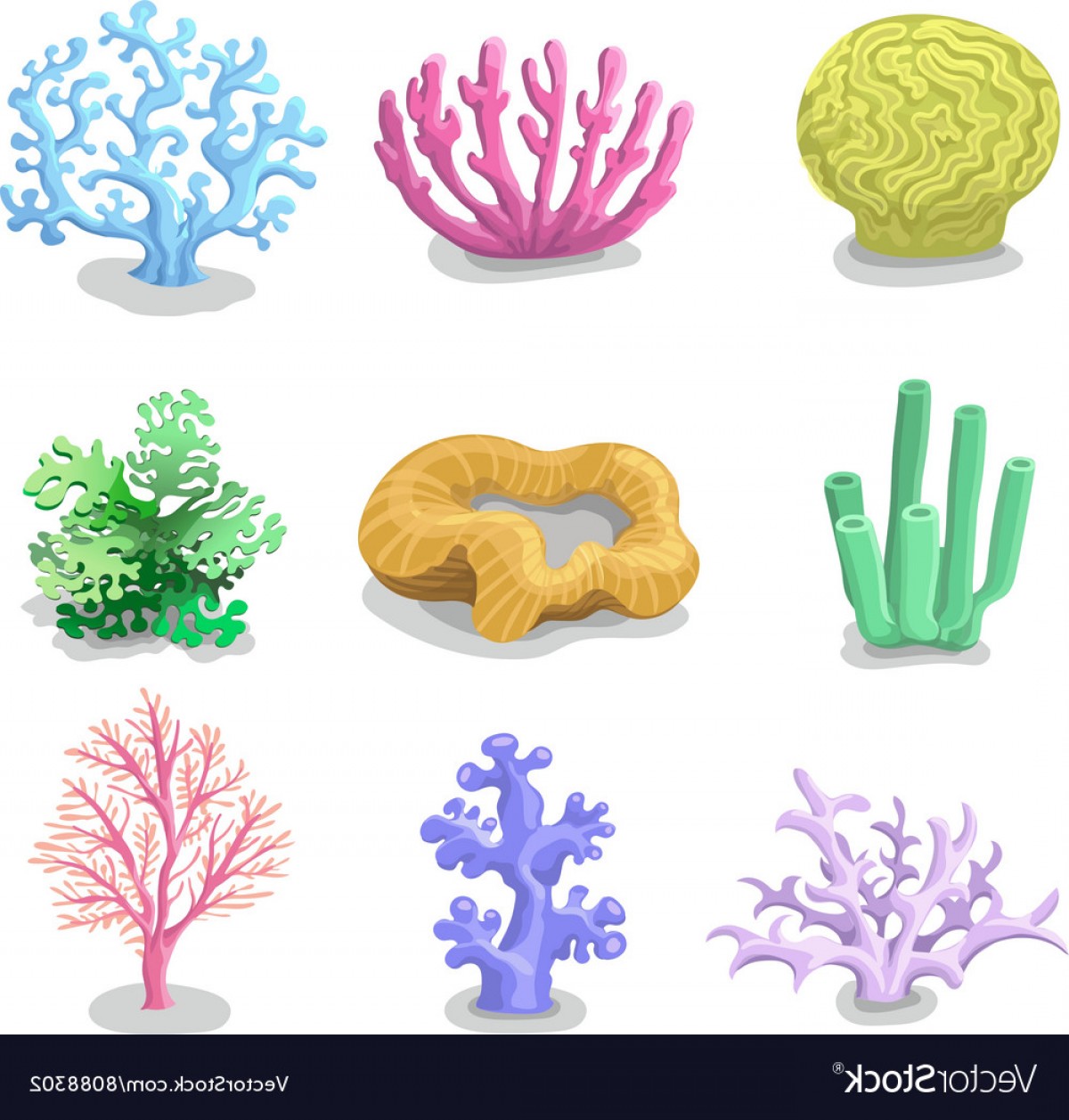 Coral Vector at Vectorified.com | Collection of Coral Vector free for ...