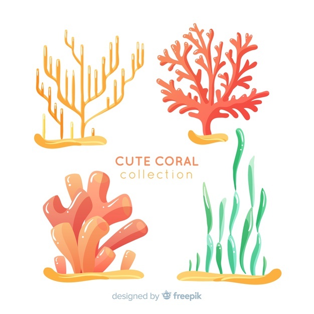 626x626 Coral Vectors, Photos And Free Download