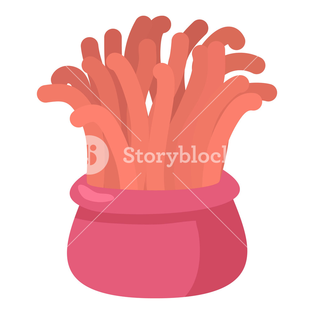 1000x1000 Coral Icon Cartoon Illustration Of Coral Vector Icon For Web